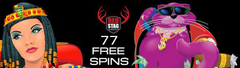Name:  free-spins-on-fat-cat-slot1.jpg
Views: 744
Size:  28.6 KB