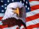 Eagle's Avatar