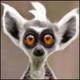 Fallamar's Avatar