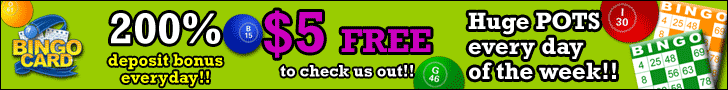 728bingocard