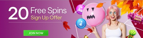 Bingo Fest 20 No Deposit Free Spins