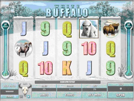 whitebuffalo