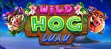 Wild Hog Luau RTG Slot